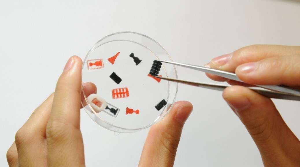 3D-printed, multiple-medication, complex-dose pills.