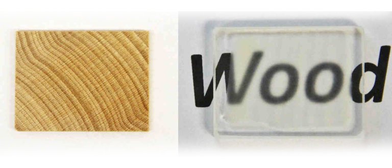 Scientists Just Engineered Transparent Wood