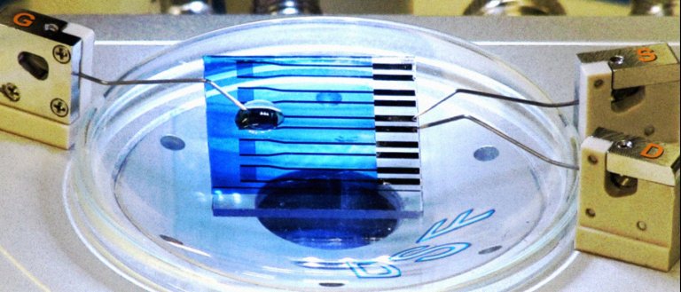 New Biosensor Could Detect Parkinson’s, Alzheimer’s, and Cancer
