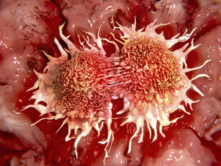 FDA Approves Drug That Uses the Body’s Immune System to Combat Bladder Cancer