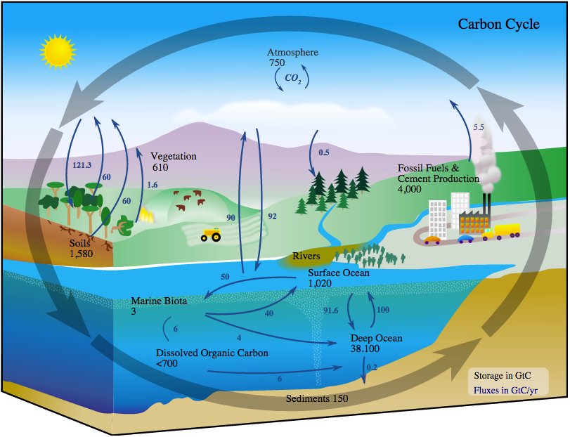 Carbon Cycle: Image Credit: NASA