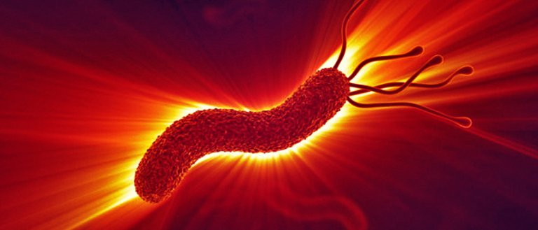 Study Reveals Earth Has 1 Trillion Species, Only 0.001% Are Known