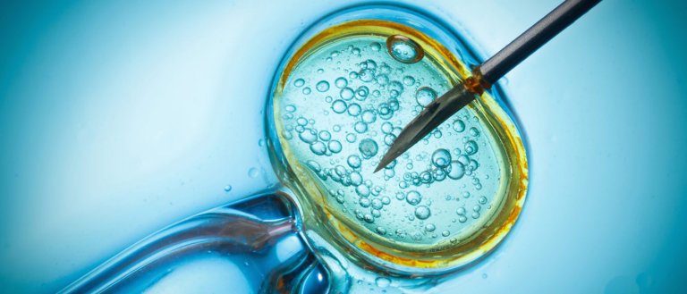 Multicellular Life Was Caused By The Same Gene That Suppresses Cancer