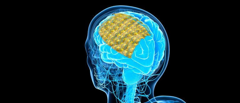 Researchers Create Electronics That Can Dissolve in Your Brain