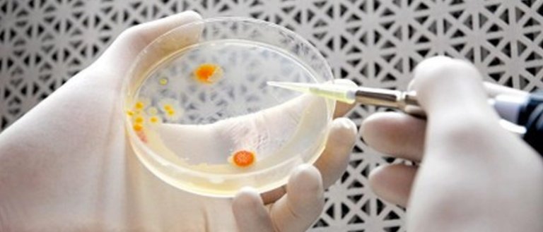 This Genetically-Engineered Bacteria Can Inhale CO2 and Produce Energy