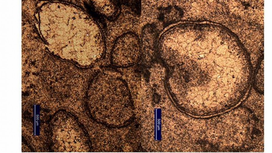 mpact spherules formed from material vaporized by an asteroid impact. Image: A. Glikson/Australian National University