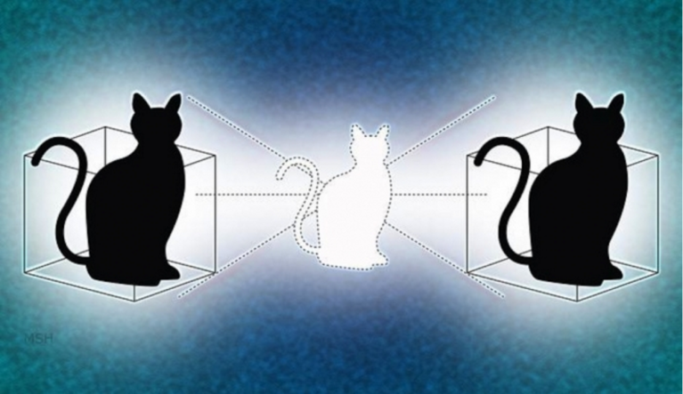 Real Life Yale Experiment Reveals Schrödinger’s Cat Can Be in 2 Boxes at Once