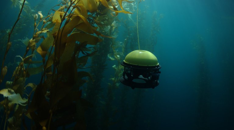 Meet the SeaDrone: The Affordable Underwater Robot