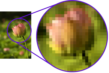 Vector Conversion