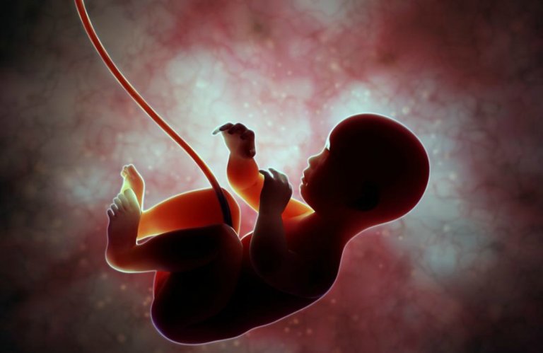 World First: Scientists Discover How to Send Medication Straight to the Placenta