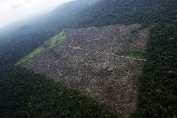 Stian Bergeland/Rainforest Foundation Norway/Reuters