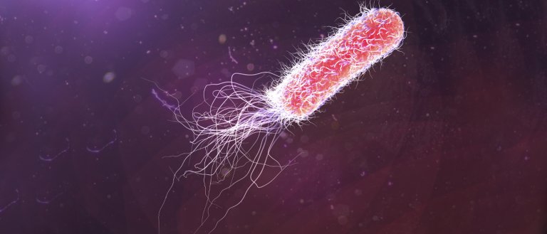 Harvard Scientists Create Hard Drives That Are Alive