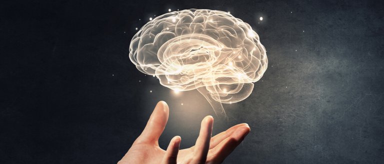 Neural Stem Cells Could Let Us Replace Brain Cells and Restore Memory