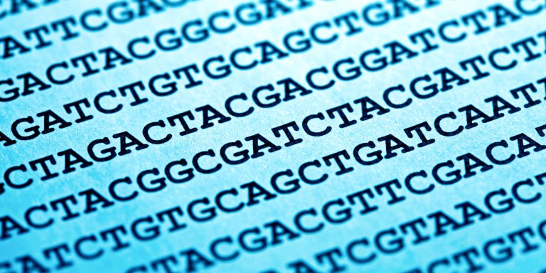 Understanding Gene Drives: Should We Use Genetic Engineering to Eliminate Disease?