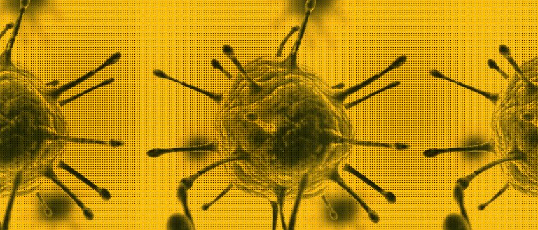 Human Trials for Genetically Engineered HIV Vaccine by Next Summer