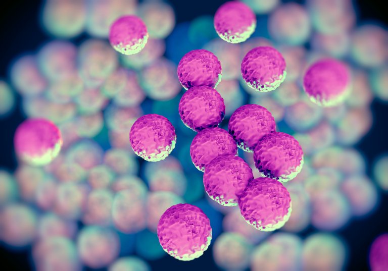 Compound Discovered That Kills 98% of Drug-Resistant Superbug