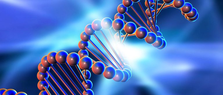 Harvard Scientists Announce Plans To Create Synthetic Human Genomes