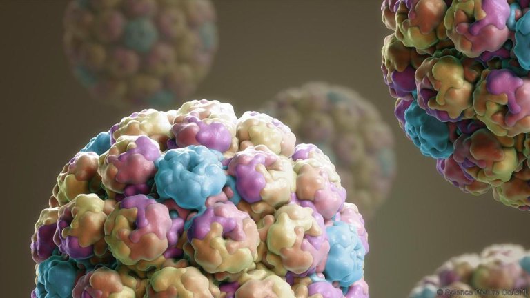 HIV: Scientists Uncovered The Birthplace of The Disease That Refuses to Die
