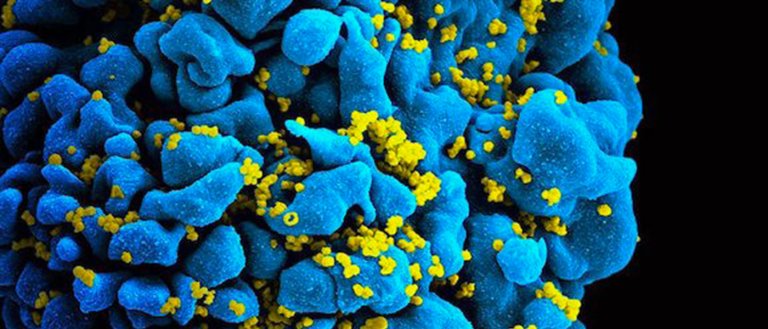 Researchers May Have Found a Way to Use CRISPR as a Recording Device