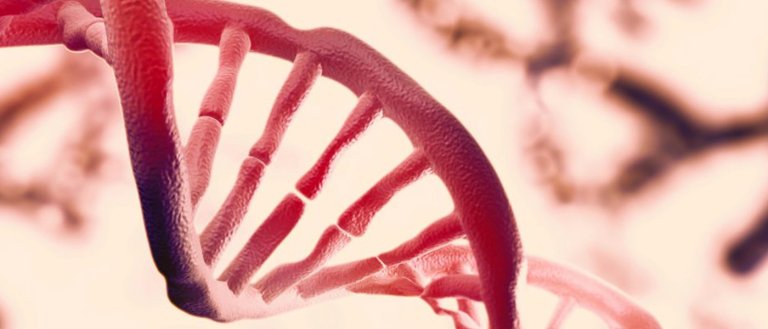GMOs Led the Fight Against Zika and Ebola. And They’ll Combat The Next Great Pandemic