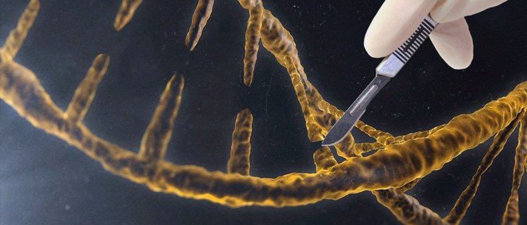 Gene Editing Can Now Change An Entire Species Forever