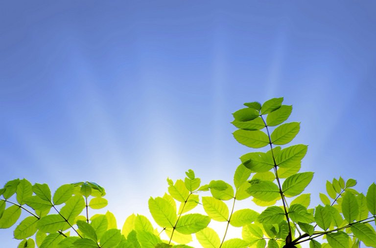 New “Bionic Leaf” Is More Efficient Than Photosynthesis