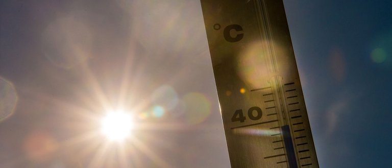 NASA Declares May Hottest Ever Recorded