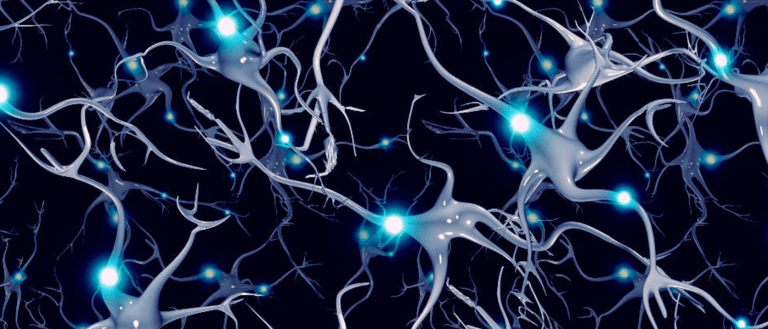 MRI Reveals How Schizophrenic Brains Can Regenerate, Opens New Doors for Treatment