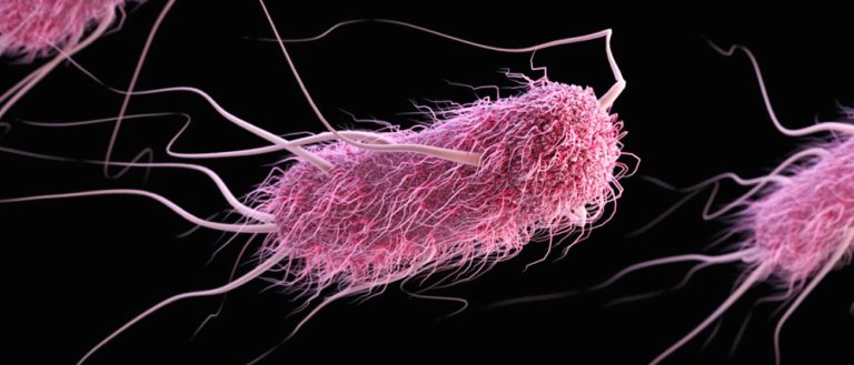Scientists May Have Found a Way to Treat Urinary Tract Infection Without Antibiotics