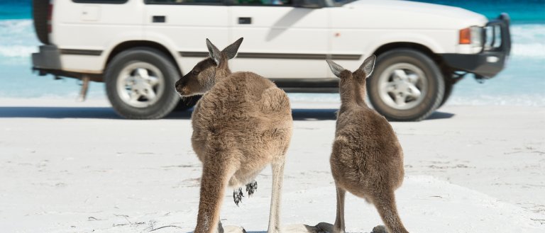 Australia Moves to Update Location; Shifted 1.5 Meters in Just 22 Years