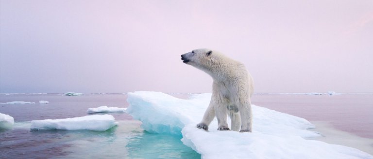 Research Shows that World’s Biodiversity is Below ‘Safe’ Levels