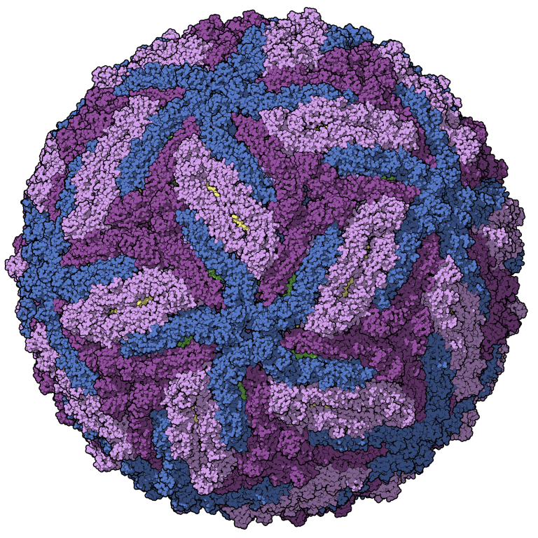 Researchers Design Programmable RNA Vaccines