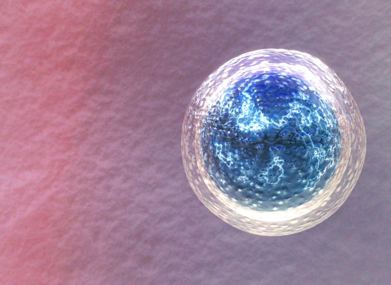 Scientists Assert That They’ve Found A Way to “Reverse Menopause”