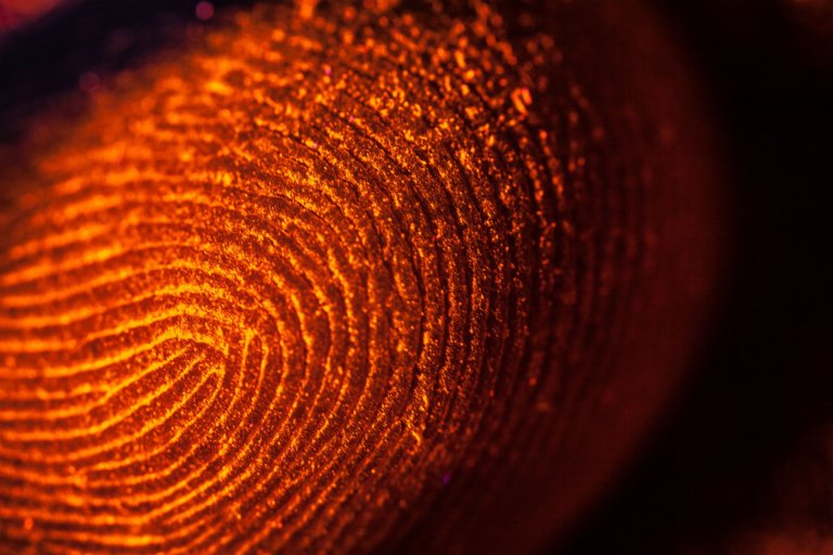 Police Just 3D-Printed A Murder Victim’s Finger To Unlock His Phone