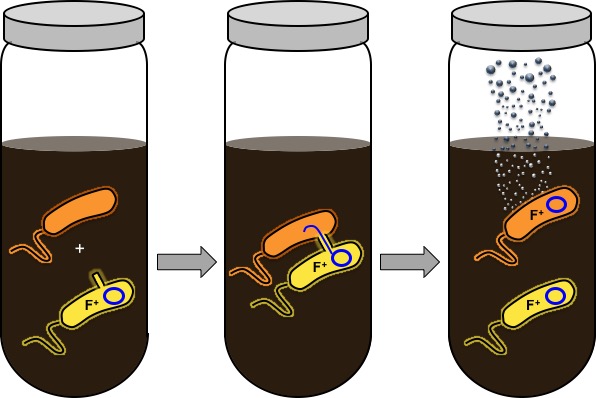 Image source: Jonathan Silberg and Shelly Cheng/Rice U