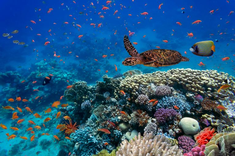 Credit: Shutterstock