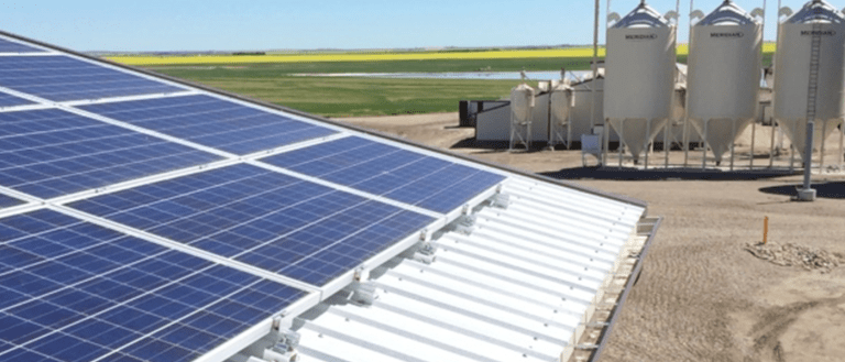 Engineers Create A Farm That Has a Net Zero Carbon Footprint
