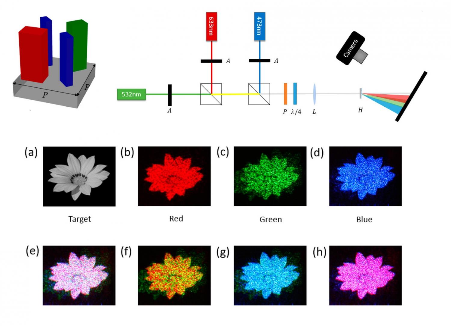 Credit: Wang et al.