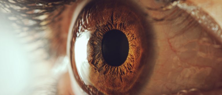 This Revolutionary Bionic Eye Sends Images Directly To Your Brain