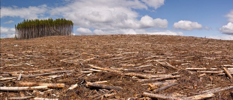 Earth Overshoot Day: August 8th Proved Our Planet Is Hurting Badly