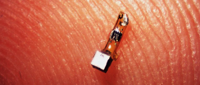 New Dust-Sized Implants May be the Key To Monitoring Your Internal Health