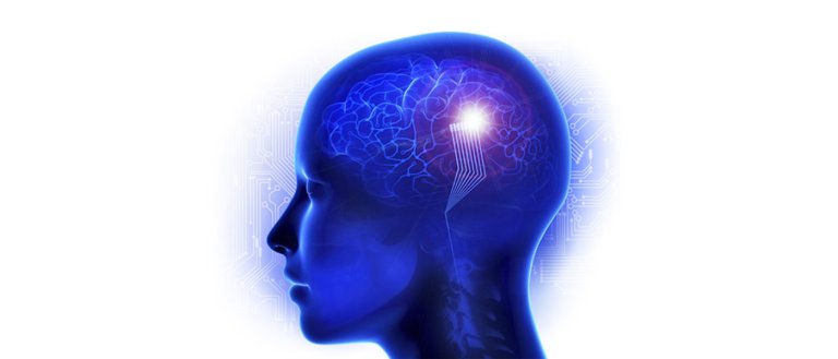 New Startup to Solve Memory Loss With Brain Prosthetics
