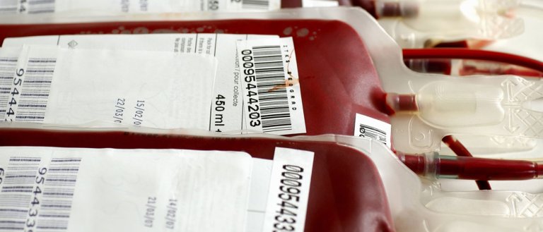 Reversing Aging: Clinical Trials For “Young-to-Old” Blood Transfusions Begin