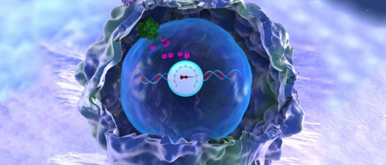 Scientists Genetically Engineer Living Cells to Store “Memories” in Their DNA