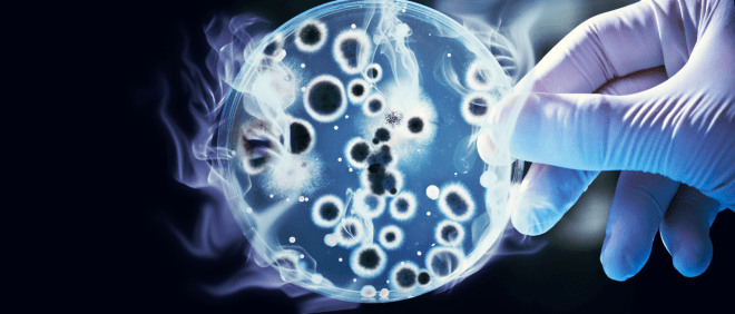 New Genetically Engineered Bacteria Could Help Combat Global Warming