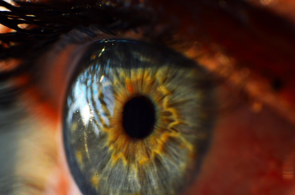 Image Source: Pixabay