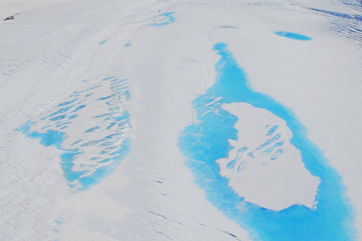 Langhovde Glacier (Source: Hokkaido University)