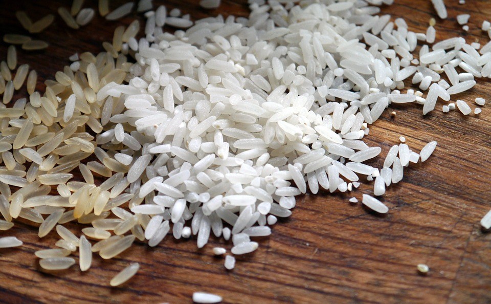 New Genetically Modified Rice Could Feed Billions