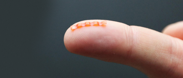 Scientists Just Made A Tiny Robotic Caterpillar That’s Powered By Light
