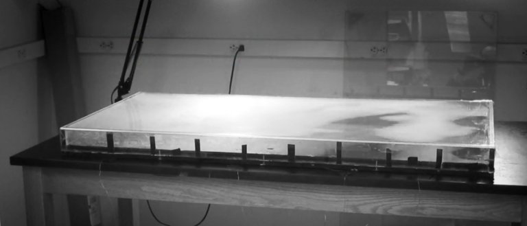 Watch Bacteria Evolve into Superbugs in This Remarkable Timelapse Video